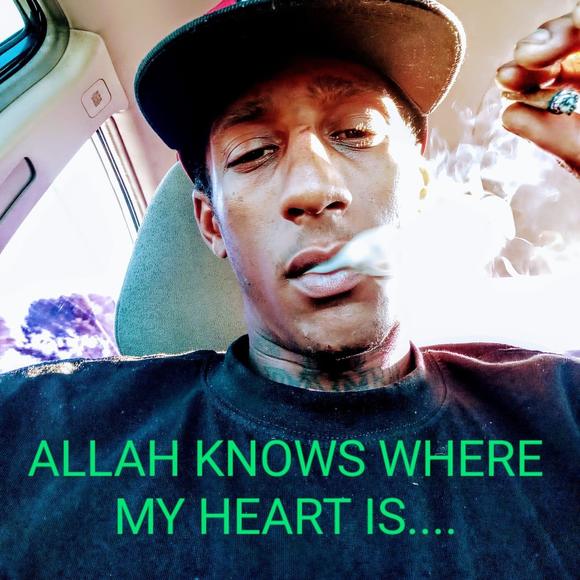 Meet your Posher, Devonte - Picture 1 of 1